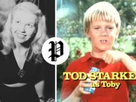 Todd Starke