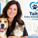 Who Is Donna Sicuranza? Her Impact on Animal Welfare